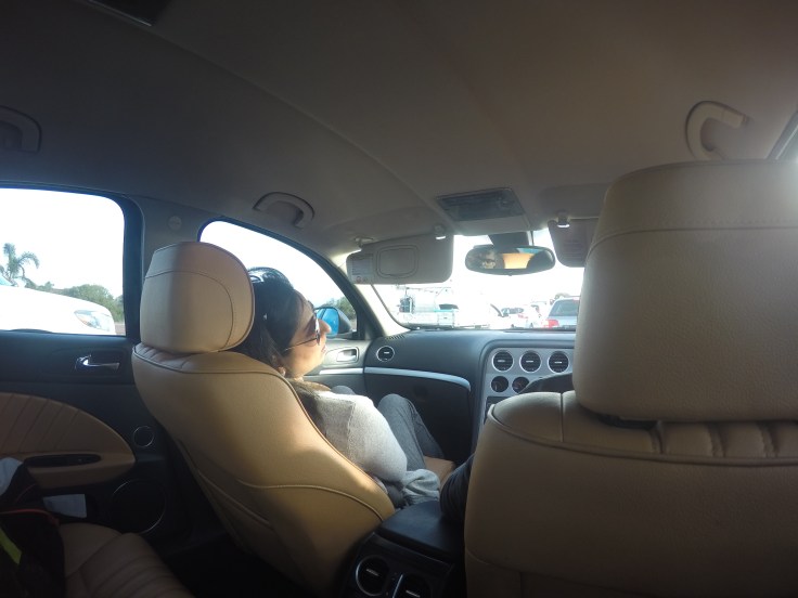 DCIM100GOPROGOPR3604.