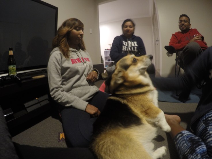 DCIM100GOPROGOPR3898.